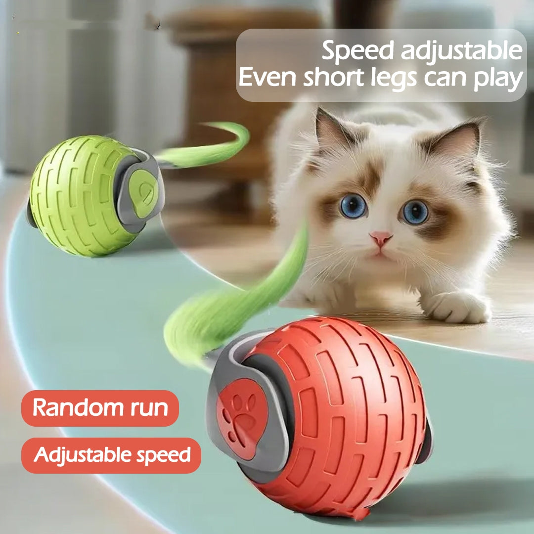 ChaseBuddy™ Interactive Pet Ball