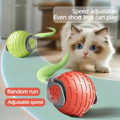 ChaseBuddy™ Interactive Pet Ball