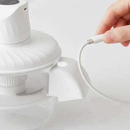 Electric Peeler
