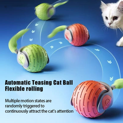 ChaseBuddy™ Interactive Pet Ball