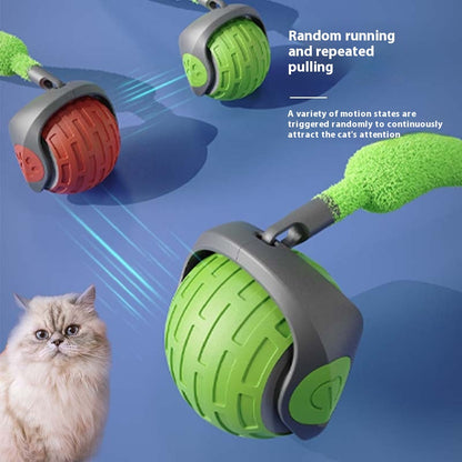 ChaseBuddy™ Interactive Pet Ball