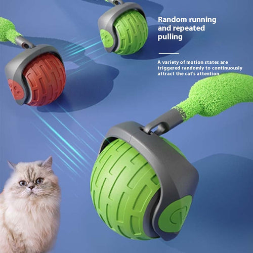 ChaseBuddy™ Interactive Pet Ball