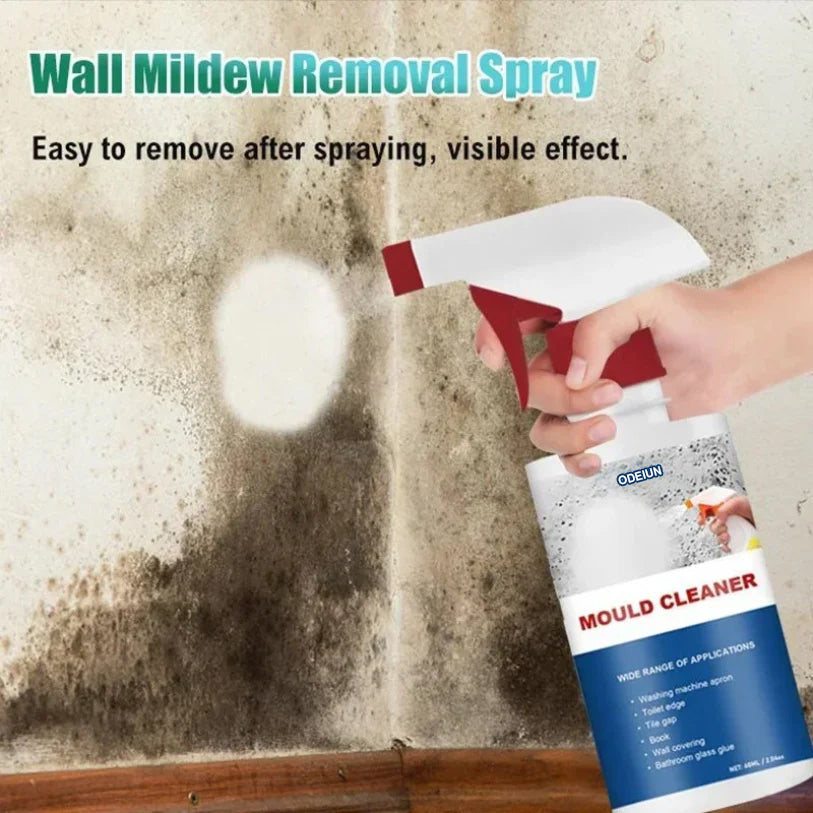 Women's Day Limited Time Discount ODEIUN ™ | MOULD CLEANER Revive Spray: Instant Mold Removal Solution