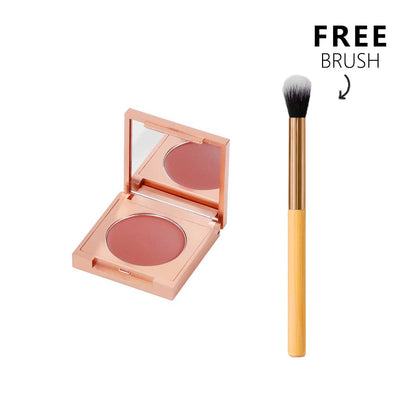 Dark Circle Care CC Corrector & Brush Duo