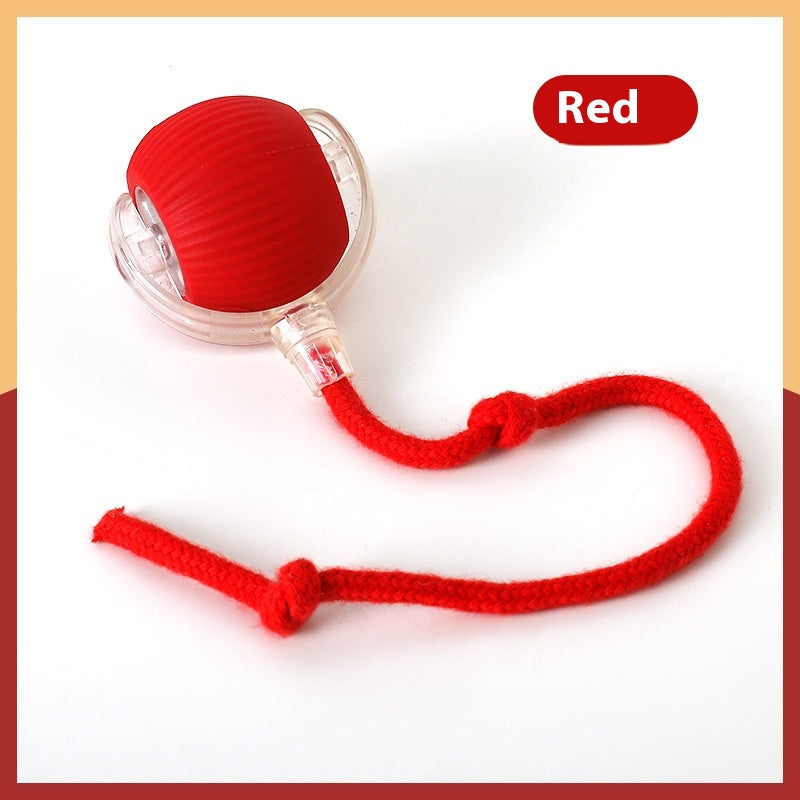 ChaseBuddy™ Interactive Pet Ball