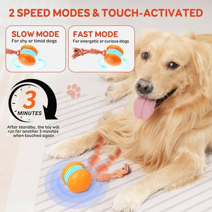 🐶The YOBENSUN™ – Keep Your Pet Relaxed, Happy & Content for Cat🐱 & Dog🐶