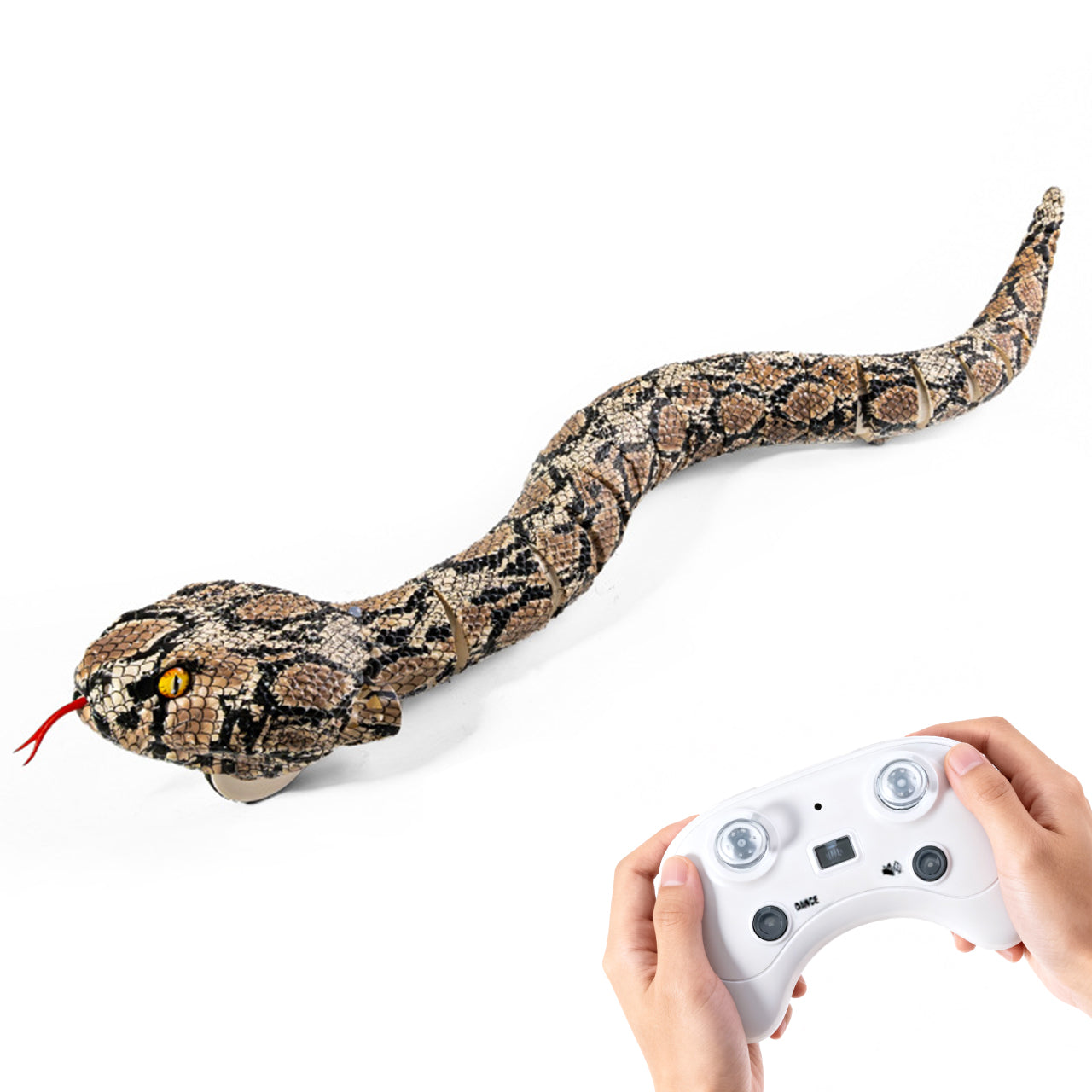 brown rattlesnake